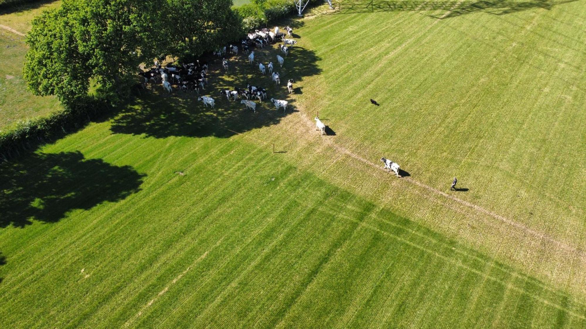 Ulmenhof Melfsen - Gemuetliches Ferienhaus Auf Dem Bauernhof Oeversee Buitenkant foto